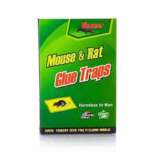 Colle A Rat Piege