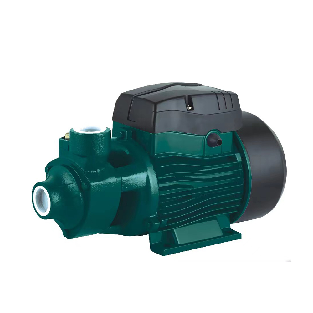 Orca Water Pump