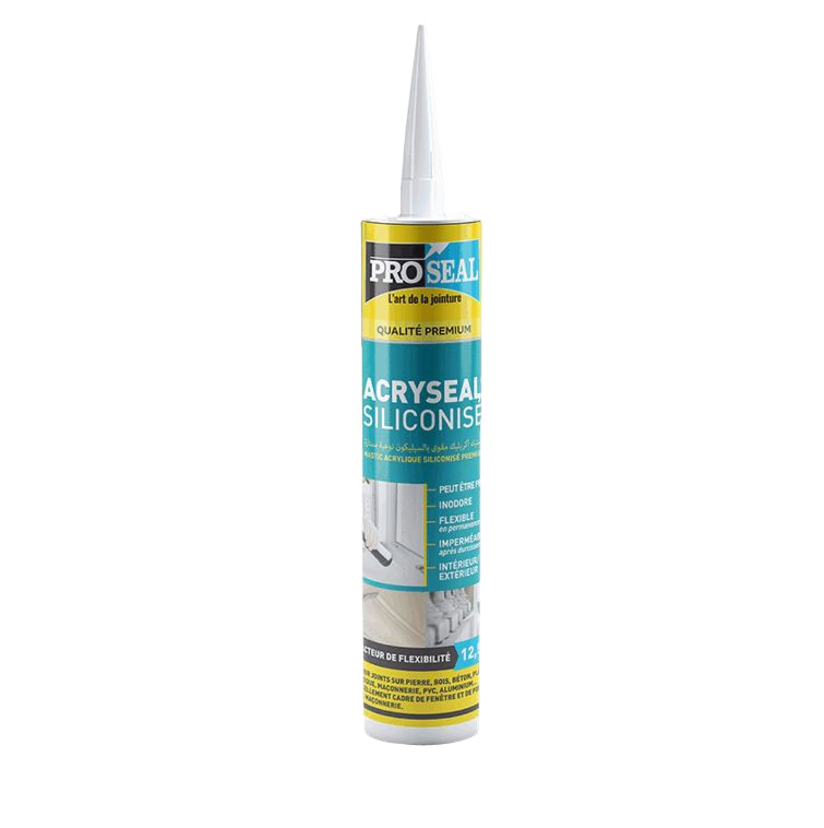 Silicone Acrylique PROSEAL (24)