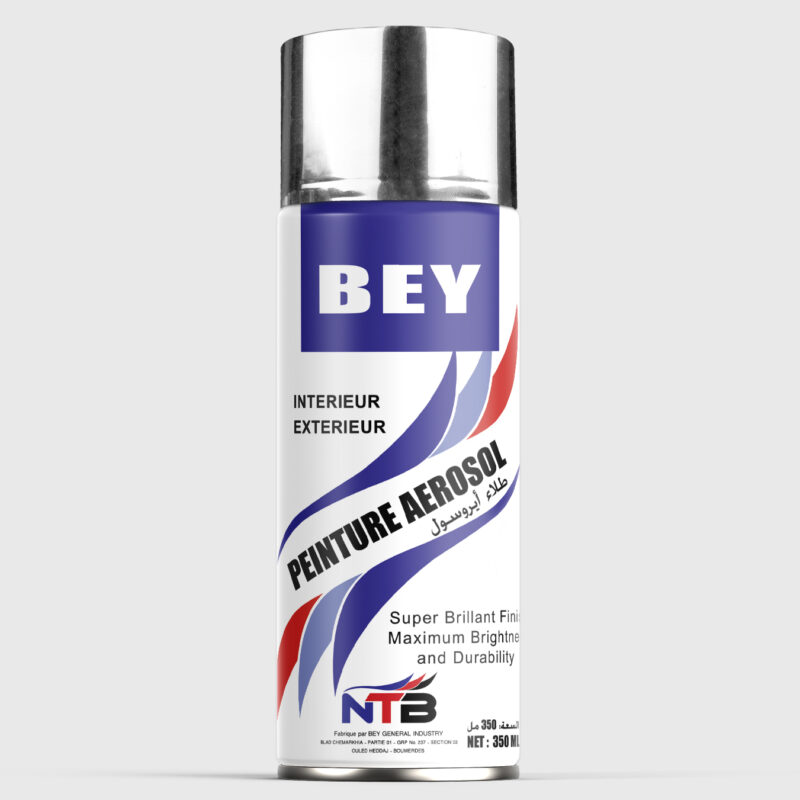 Bey Spray Paint