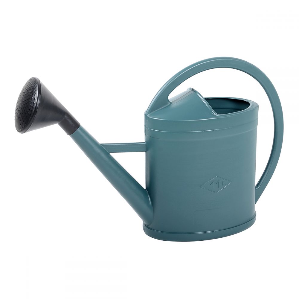 Hand sprayer
