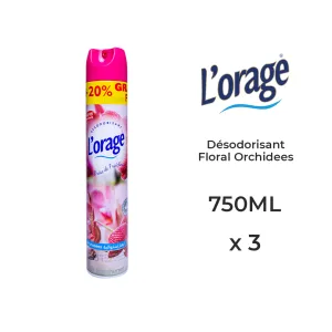 Désodorisant Vapo L'ORAGE