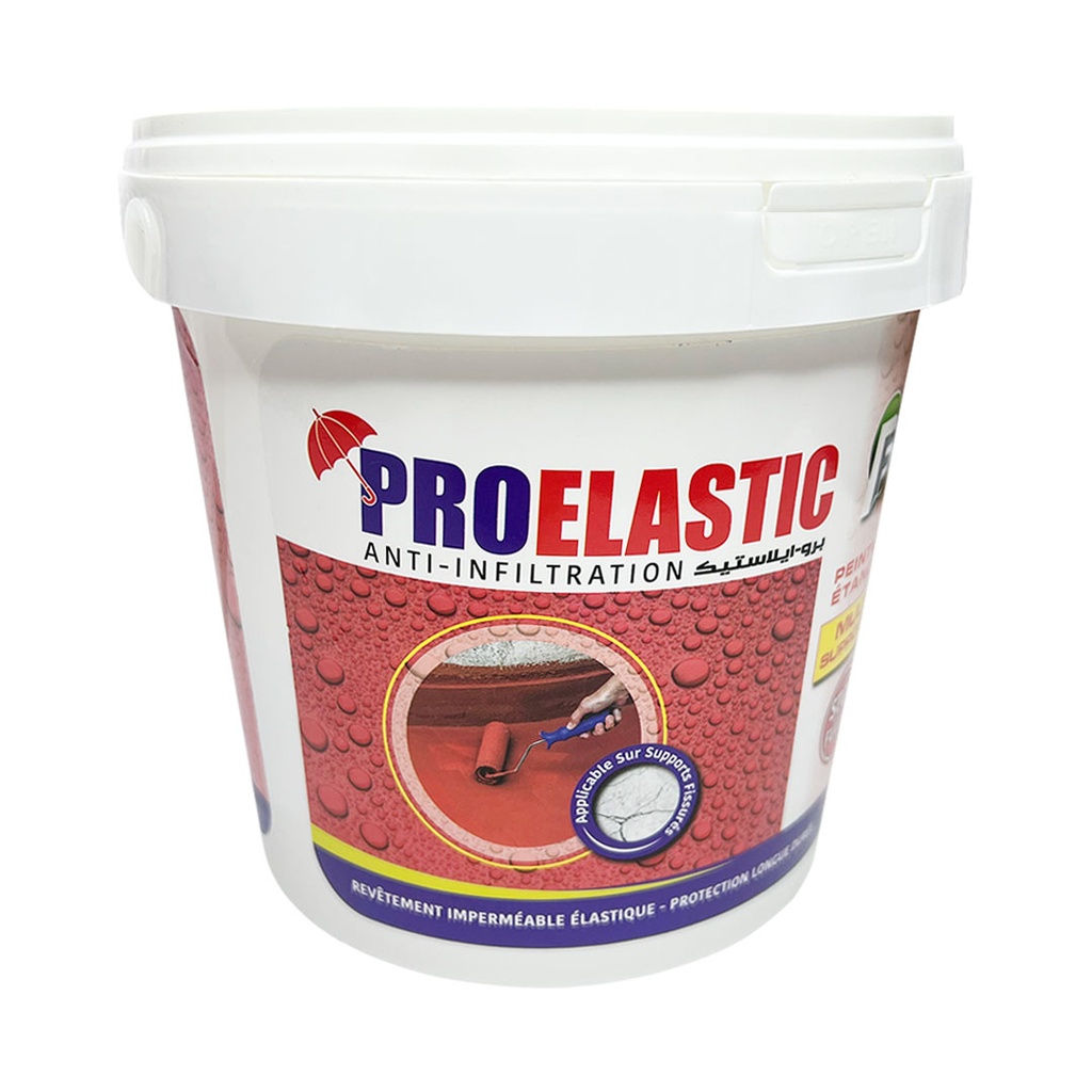 Peinture Etancheite Transparent (1kg) PRO ELASTIC