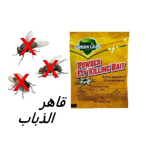 Attrape Mouche  (copie)