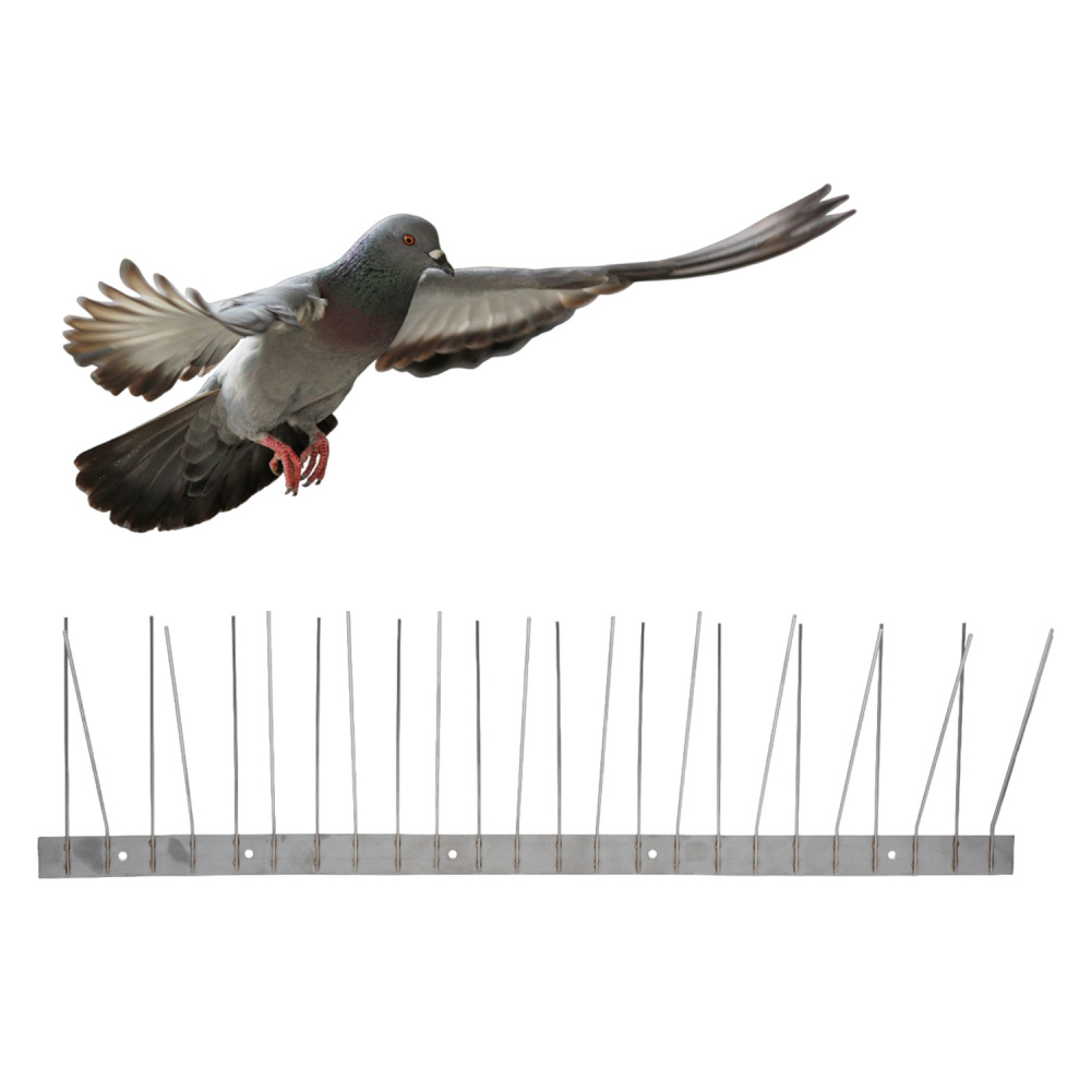 Pick Pigeon