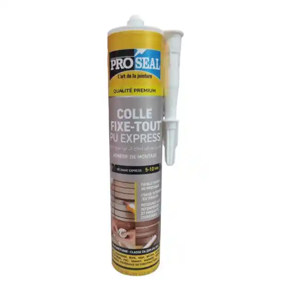 Mastic Colle Fixe Tout EXPRESS