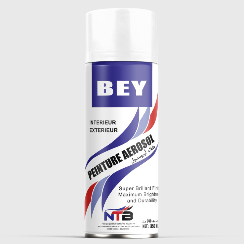Peinture Spray BEY