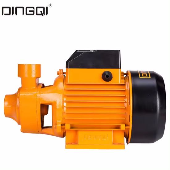 Pompe à Eau (QB-60) DINGQI