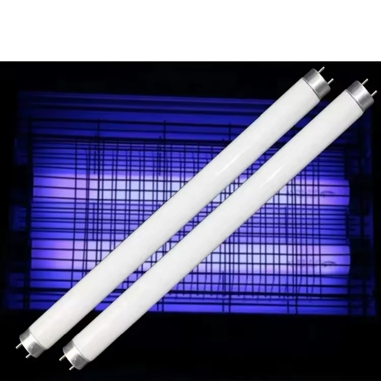 Cle Porte Energical