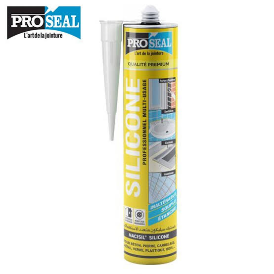 Silicone Sealant PROSEAL (24)