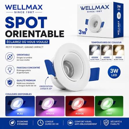 Spot Led Orientable (5W/24V) WELLMAX