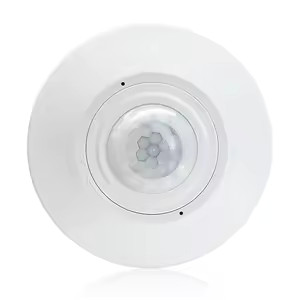 Avel Motion Detector