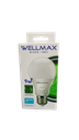 Lampe Led +Detecteur WELLMAX 