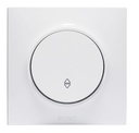 Interrupteur ICON VAS ET VIEN MONO (10)  